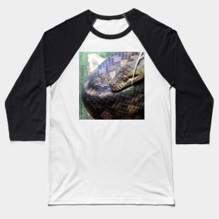 Amethystine Python Baseball T-Shirt